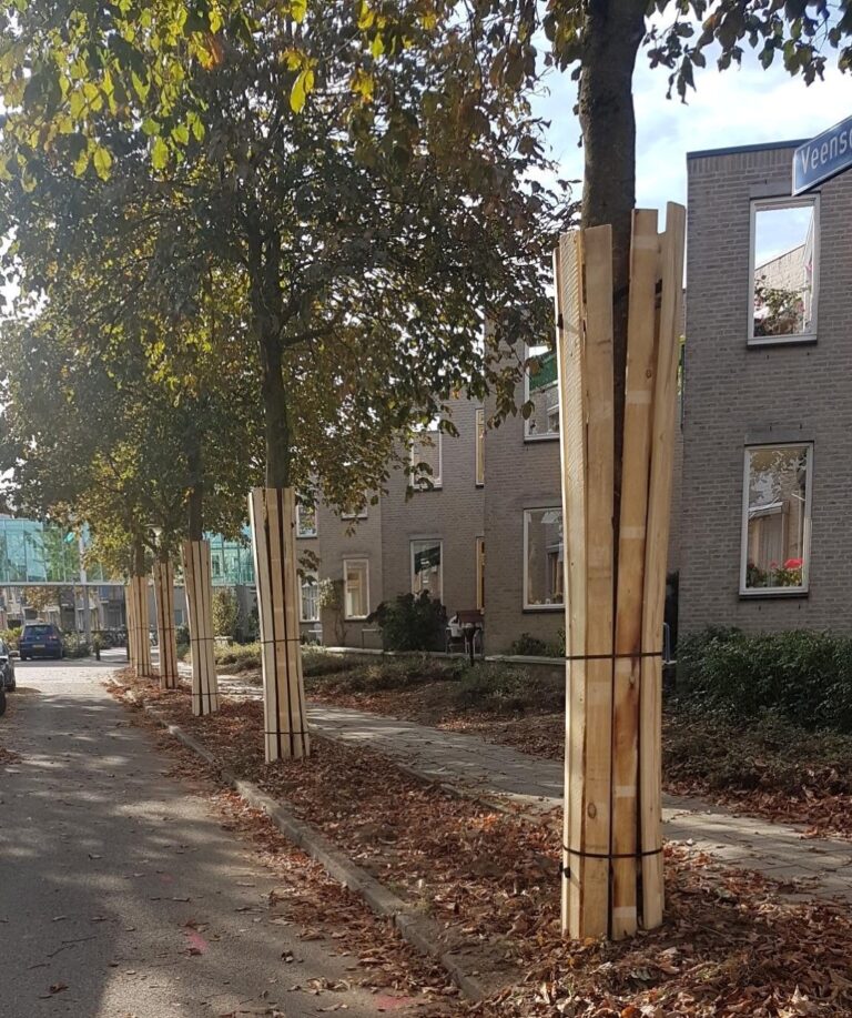 Rij bomen met houten stamommanteling in een woonstraat