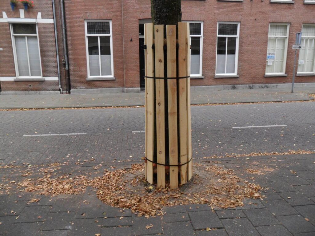 Houten stamommanteling om een boom in een straat