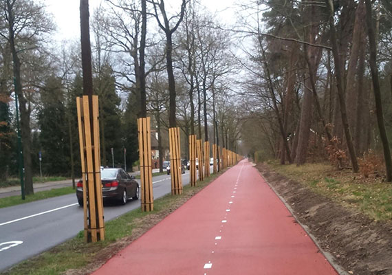 Bomen met stamommanteling langs een rood fietspad